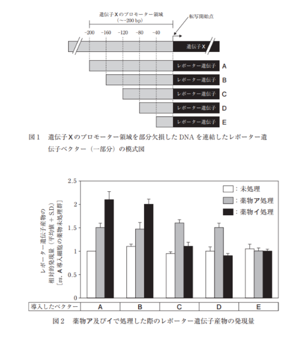 解説画像